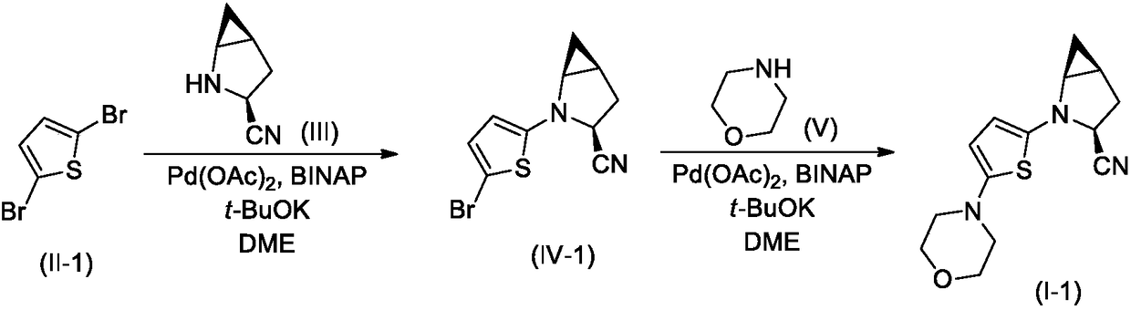 Nitrothiophene bicyclic nitrile compounds and application thereof