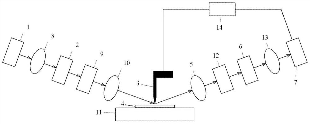 Near-field optical polarization spectrometer