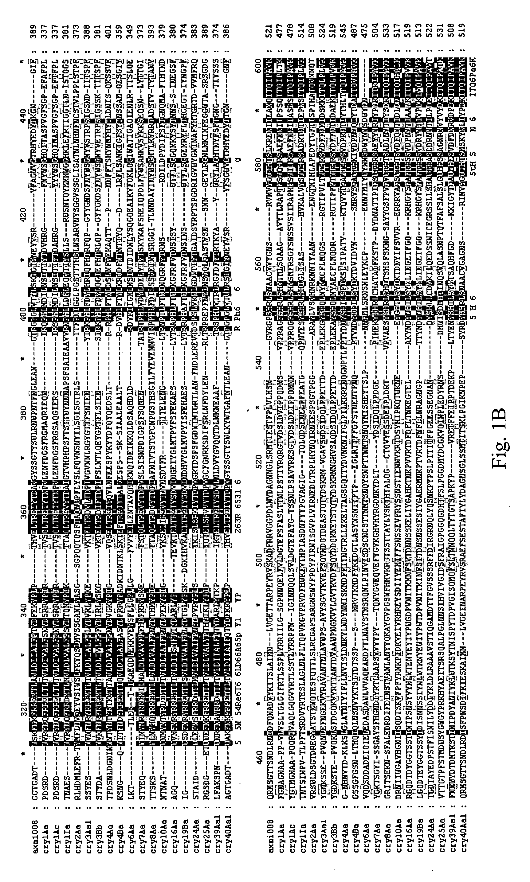 AXMI-008, a delta-endotoxin gene and methods for its use