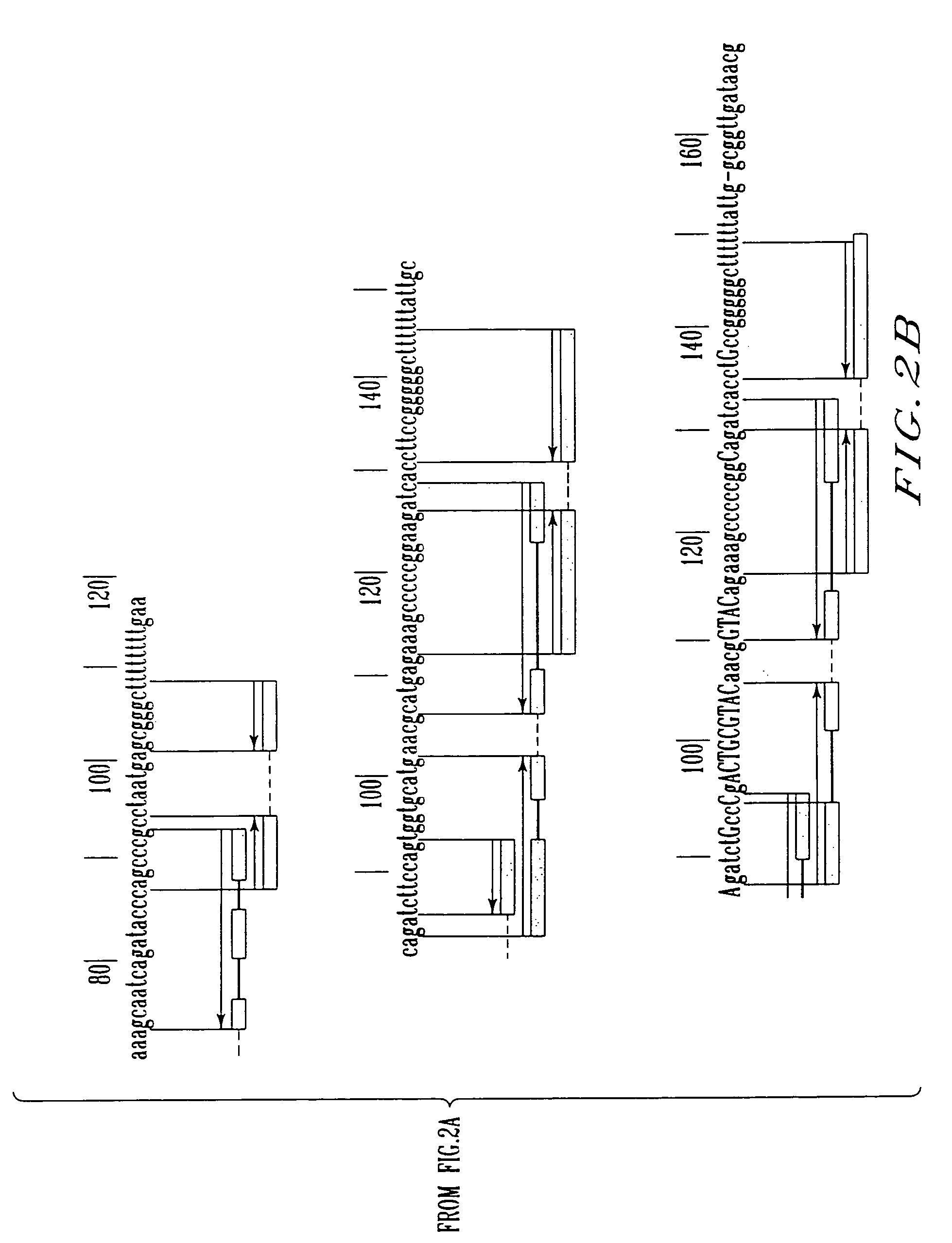 Expression control sequence