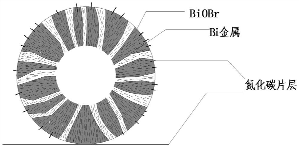 A bi-modified biobr-g-c  <sub>3</sub> n  <sub>4</sub> Heterojunction photocatalyst and preparation method and application thereof