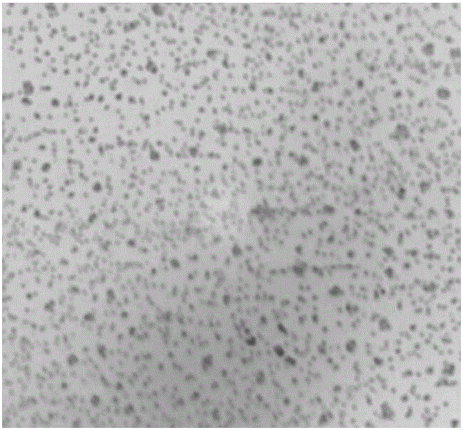 Staphylococcus warneri and application thereof