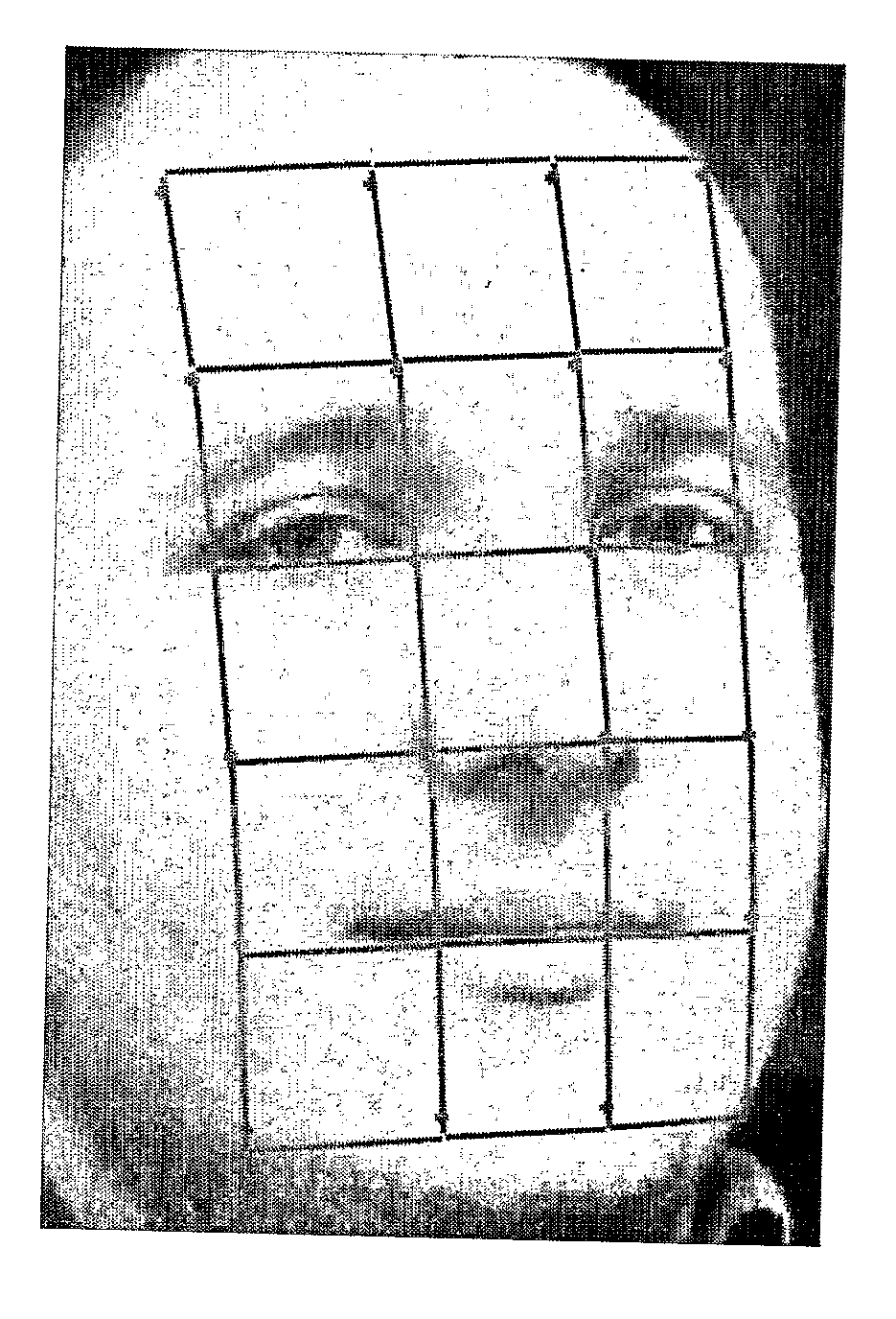 Face Normalization for Recognition and Enrollment