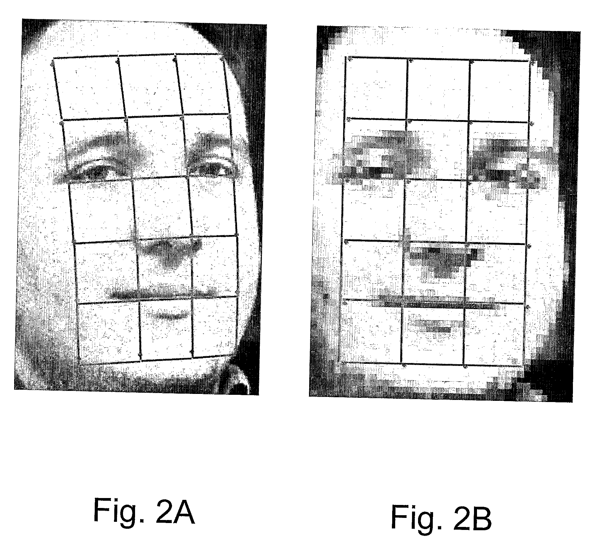 Face Normalization for Recognition and Enrollment