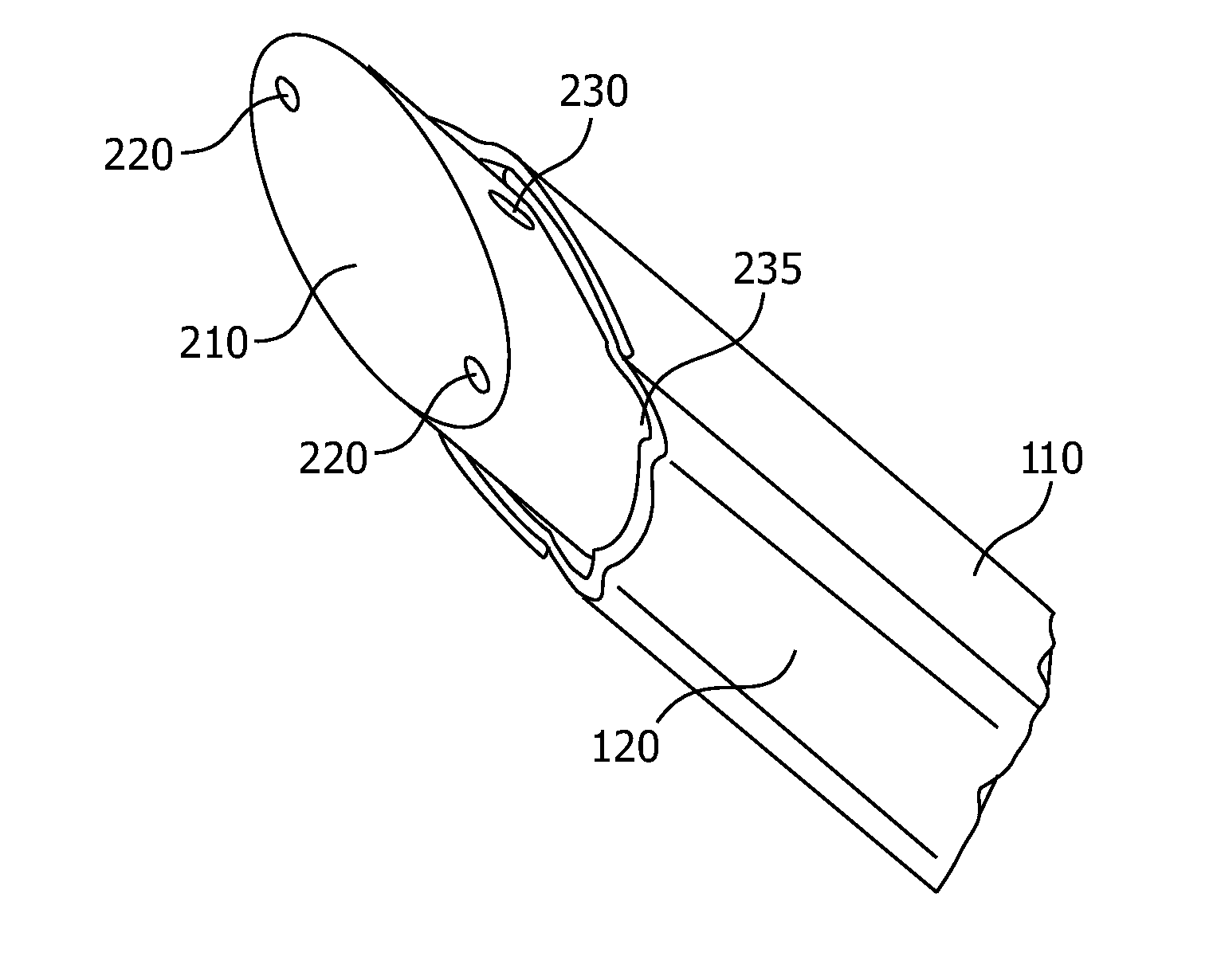 Splittable needle with fiber probe