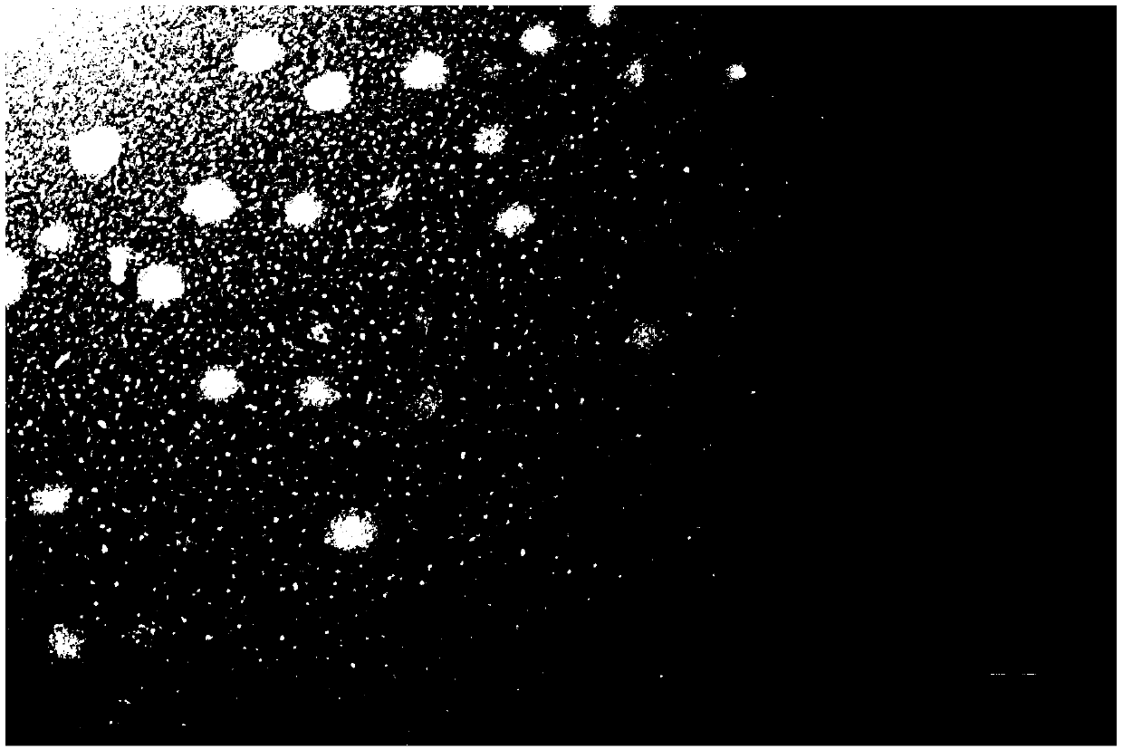 Preparation method and application of low-molecular-weight heparin-antitumor drug electrostatic complex nano system