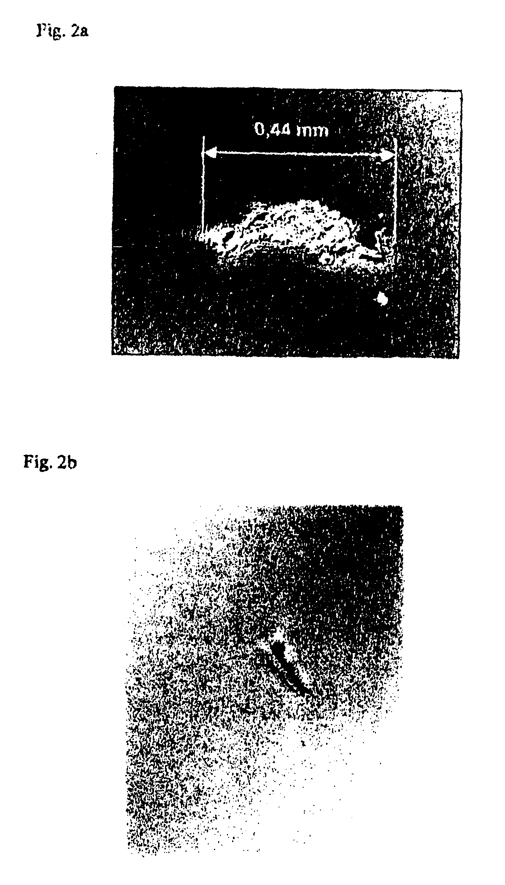 Device for thermal treatment of substrates