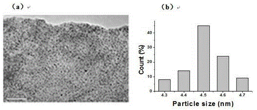 Application of nano composite material in degradation of organic toxic molecule and sterilization