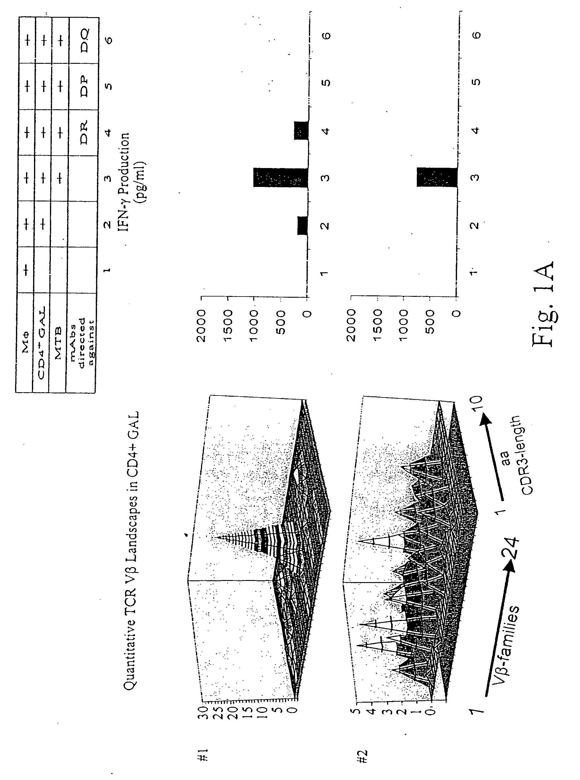Mycobacterium tuberculosis epitopes and methods of use thereof