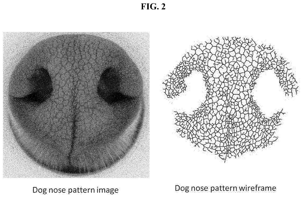 Method for acquiring animal nose pattern image