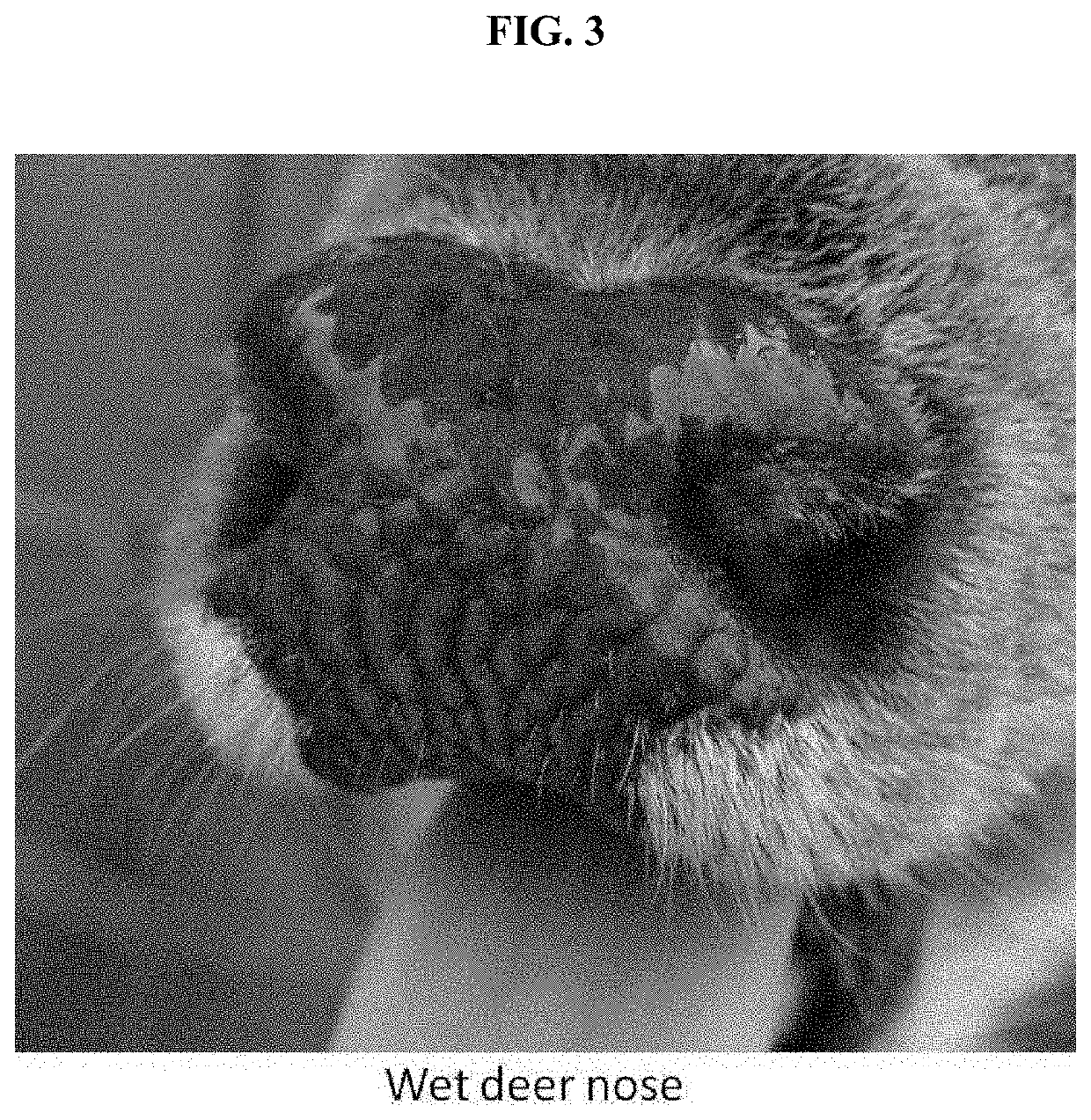 Method for acquiring animal nose pattern image