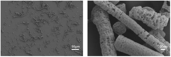 A nano-short fiber material for tissue repair and its preparation method and application