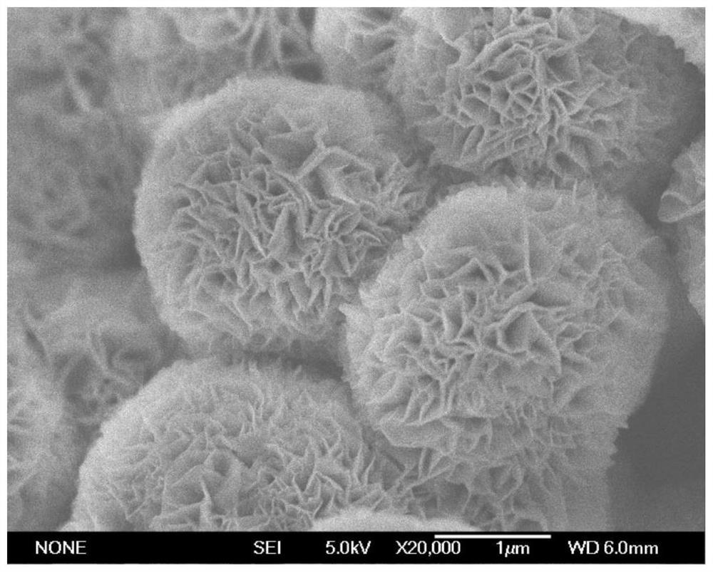 Multiphase nanocomposite material and its preparation method, nitro group reduction catalyst, application