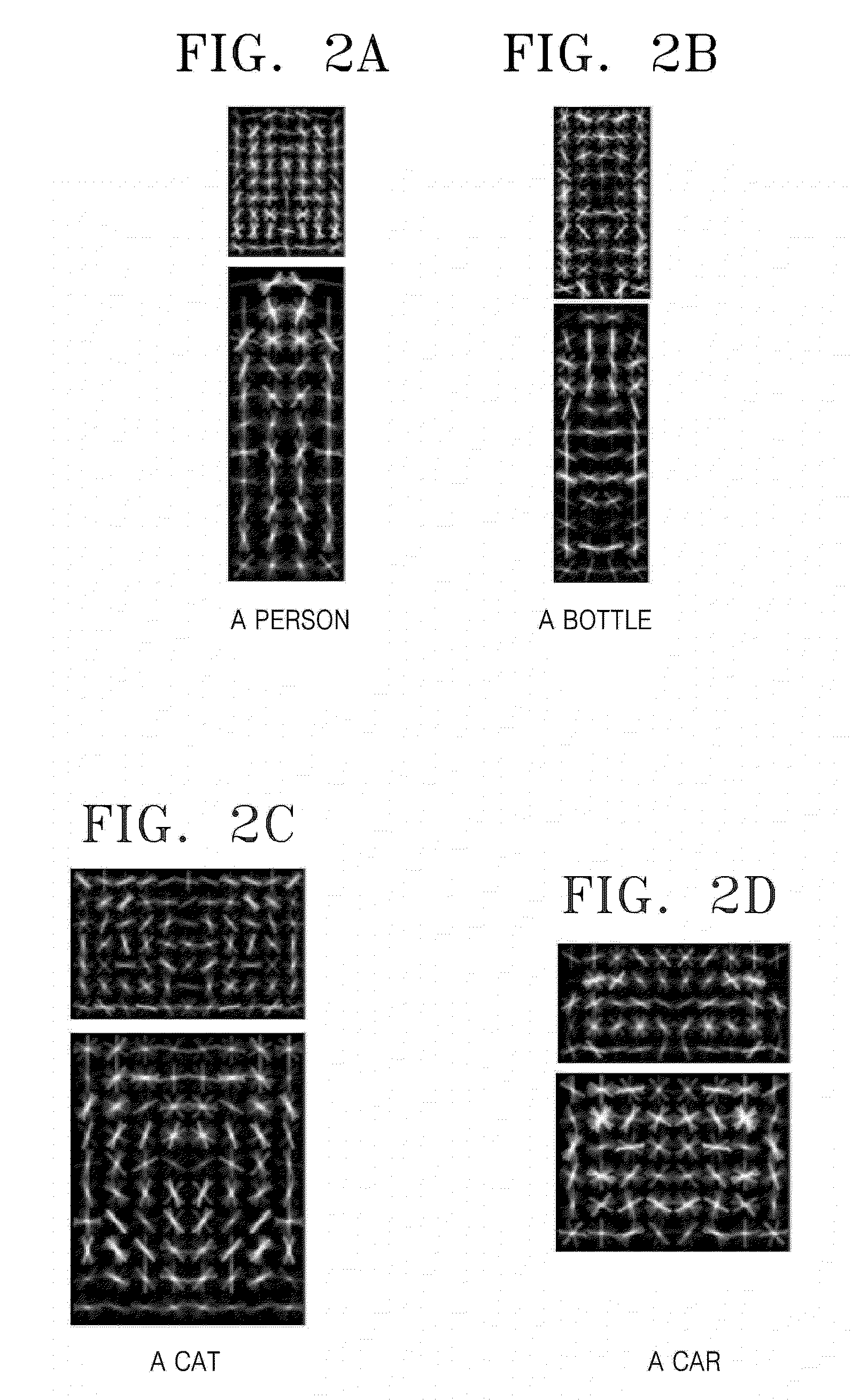 Apparatus and method for tracking object