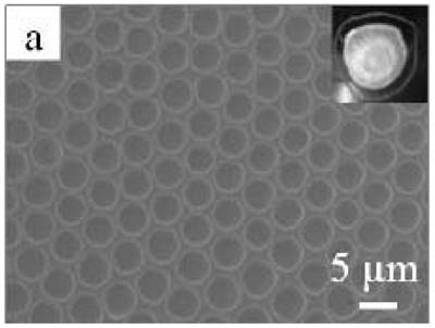 A kind of method for preparing porous copper foil current collector of lithium ion battery