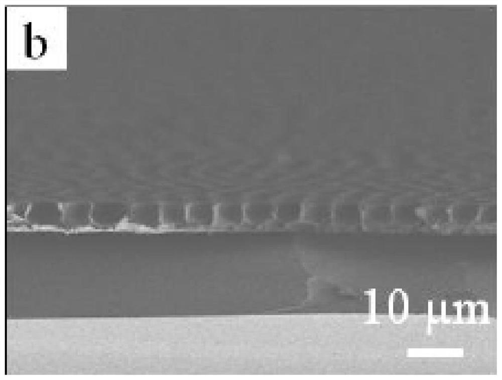 A kind of method for preparing porous copper foil current collector of lithium ion battery