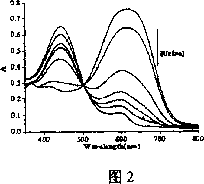 Method for detecting phosphate radical in urine