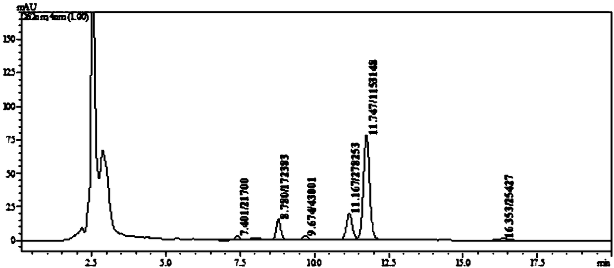 Marine micromonospora strain for fermenting to produce Rakicidin B and application thereof