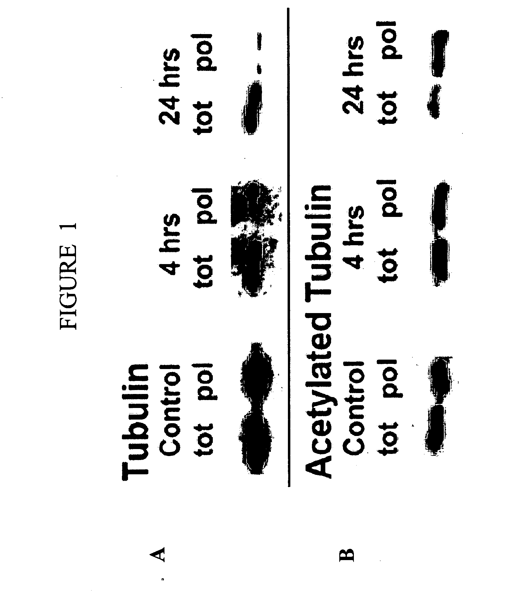 Methods and compositions for nucleic acid transfer into cells