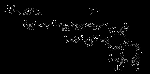 P-nitro aryl methoxycamptothecine anoxic activated prodrug used for antitumor drug