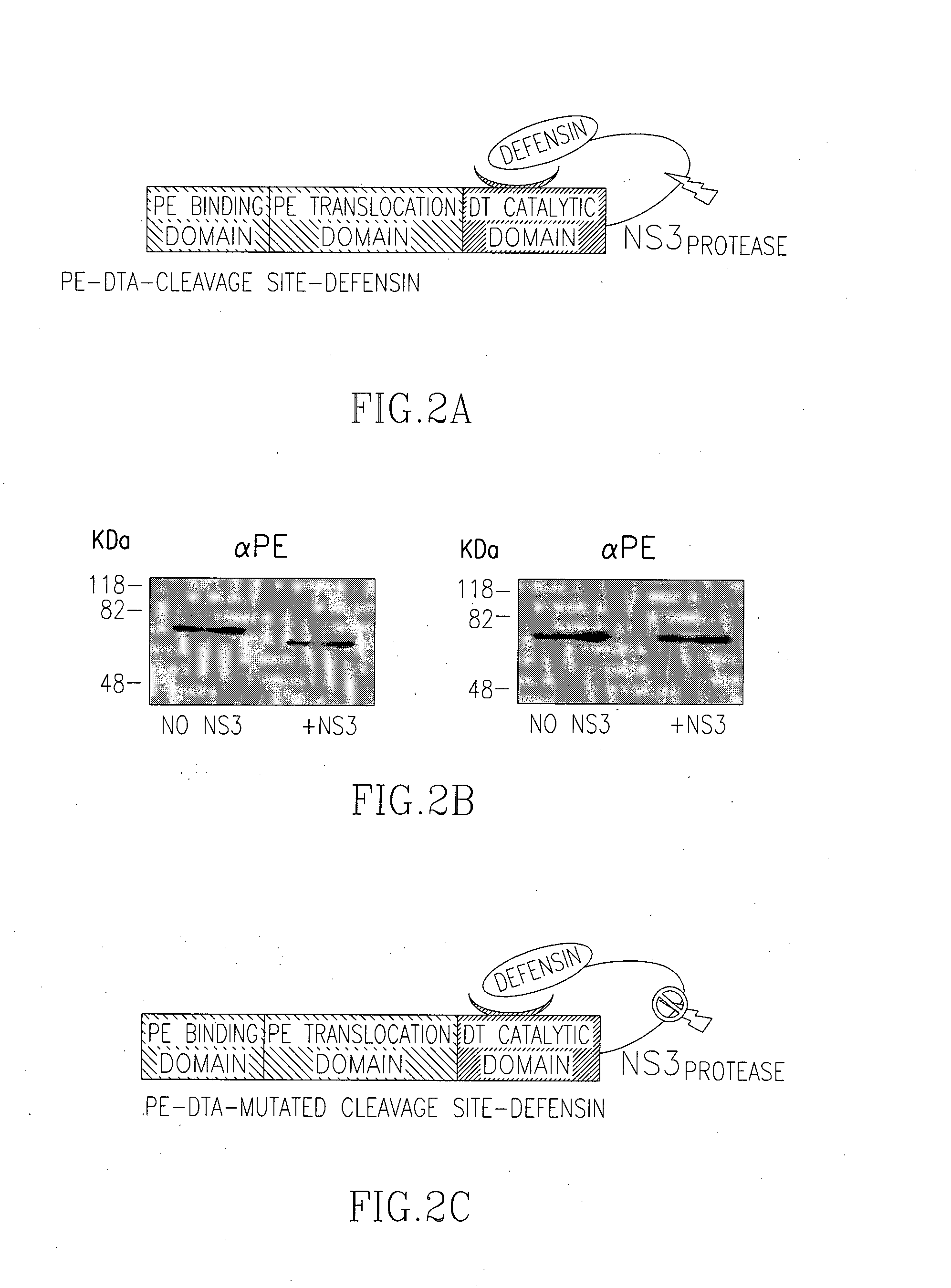 Activatable toxin complexes comprising a cleavable inhibitory peptide