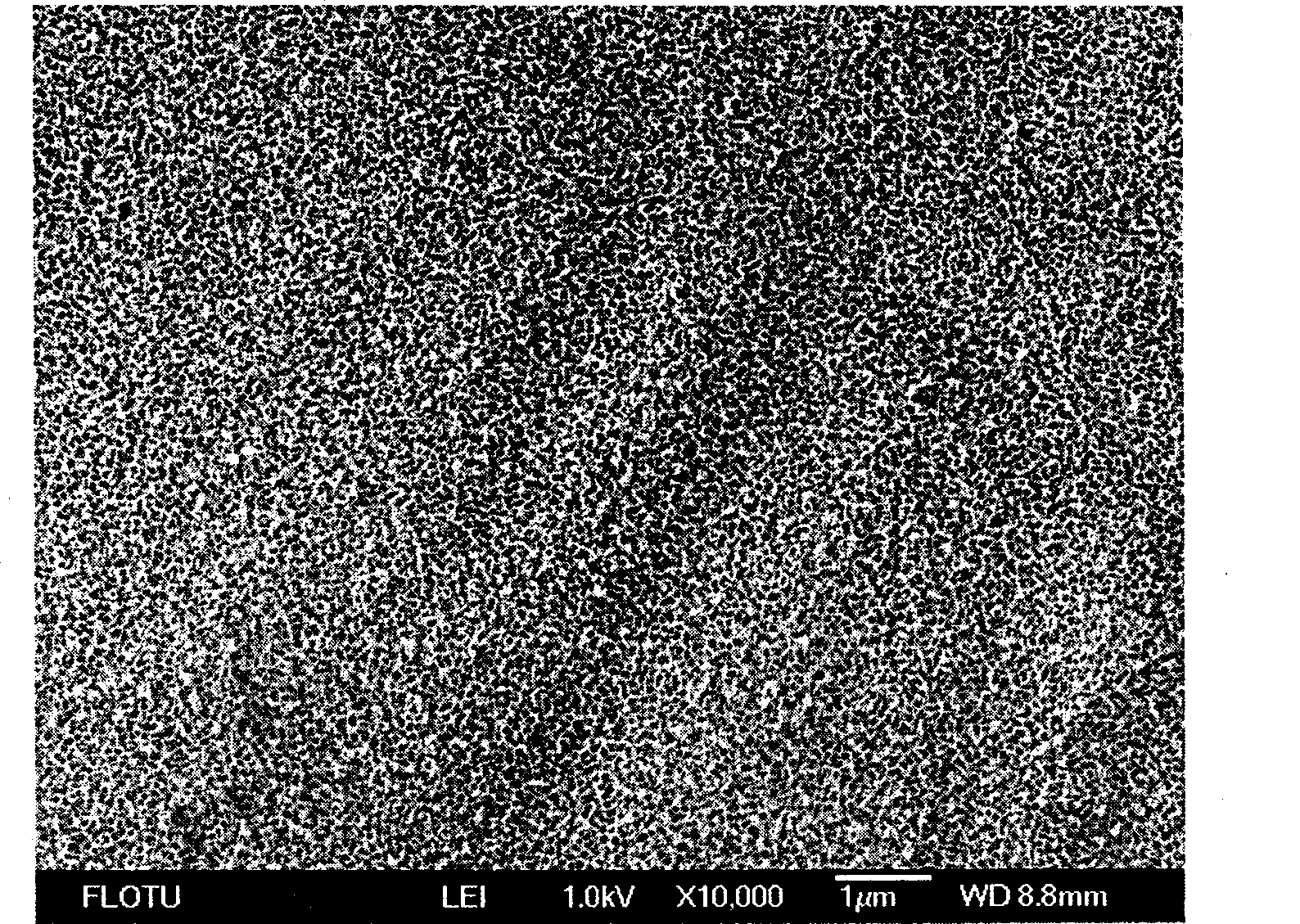 Nanometer porous tungsten trioxide material and its Preparation and application