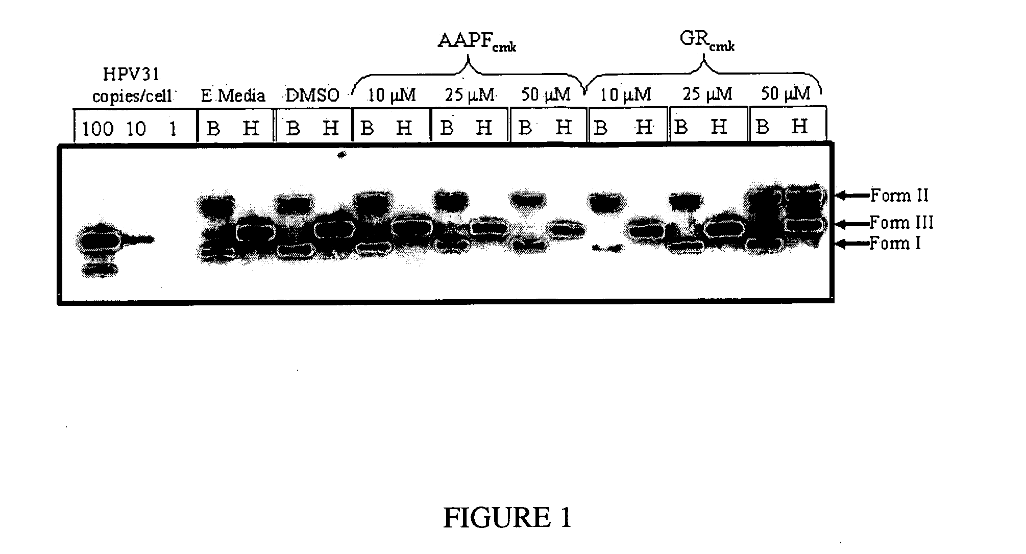 Compositions and methods for inhibiting abnormal cell growth