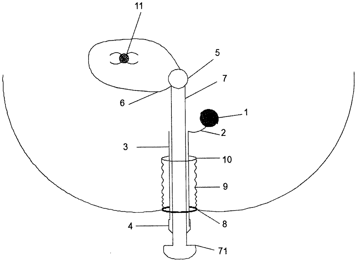 Trans-anorectal object taking device with protective plug cap for laparoscopic surgery