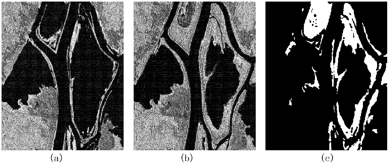 SAR (Specific Absorption Rate) image change detection method based on space approach degree and pixel similarity