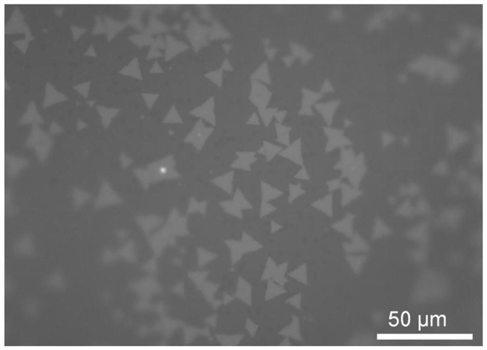 A kind of transition metal chalcogenide thin layer material and its preparation method and application