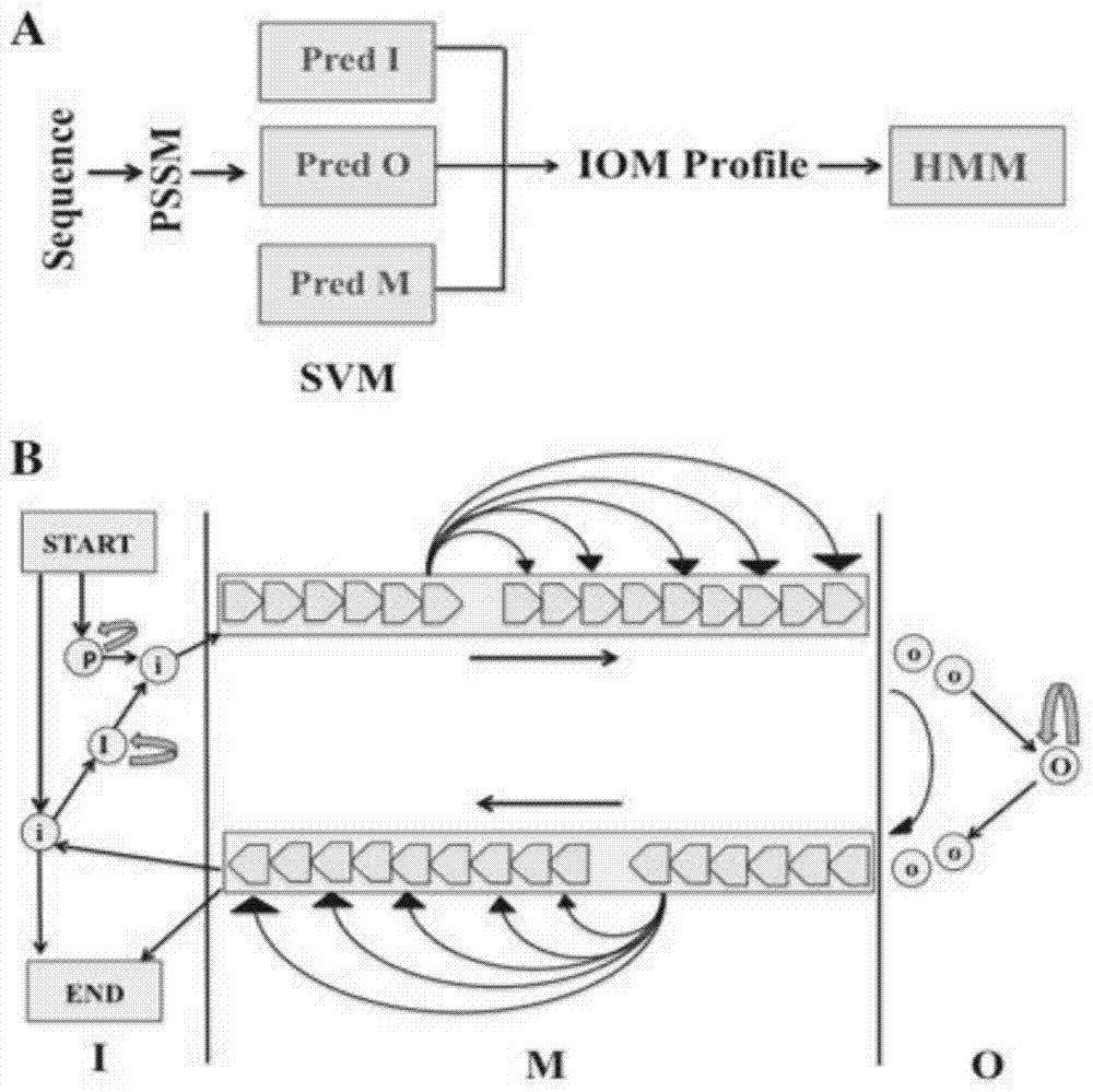 G protein-coupled receptor topology calculation prediction method based on feedback type conditional random field