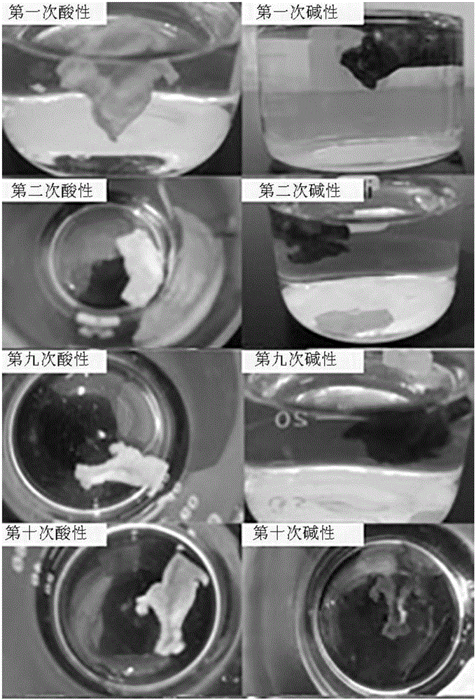 Polymer material having acid-base discoloration indication function, and preparation method and application thereof