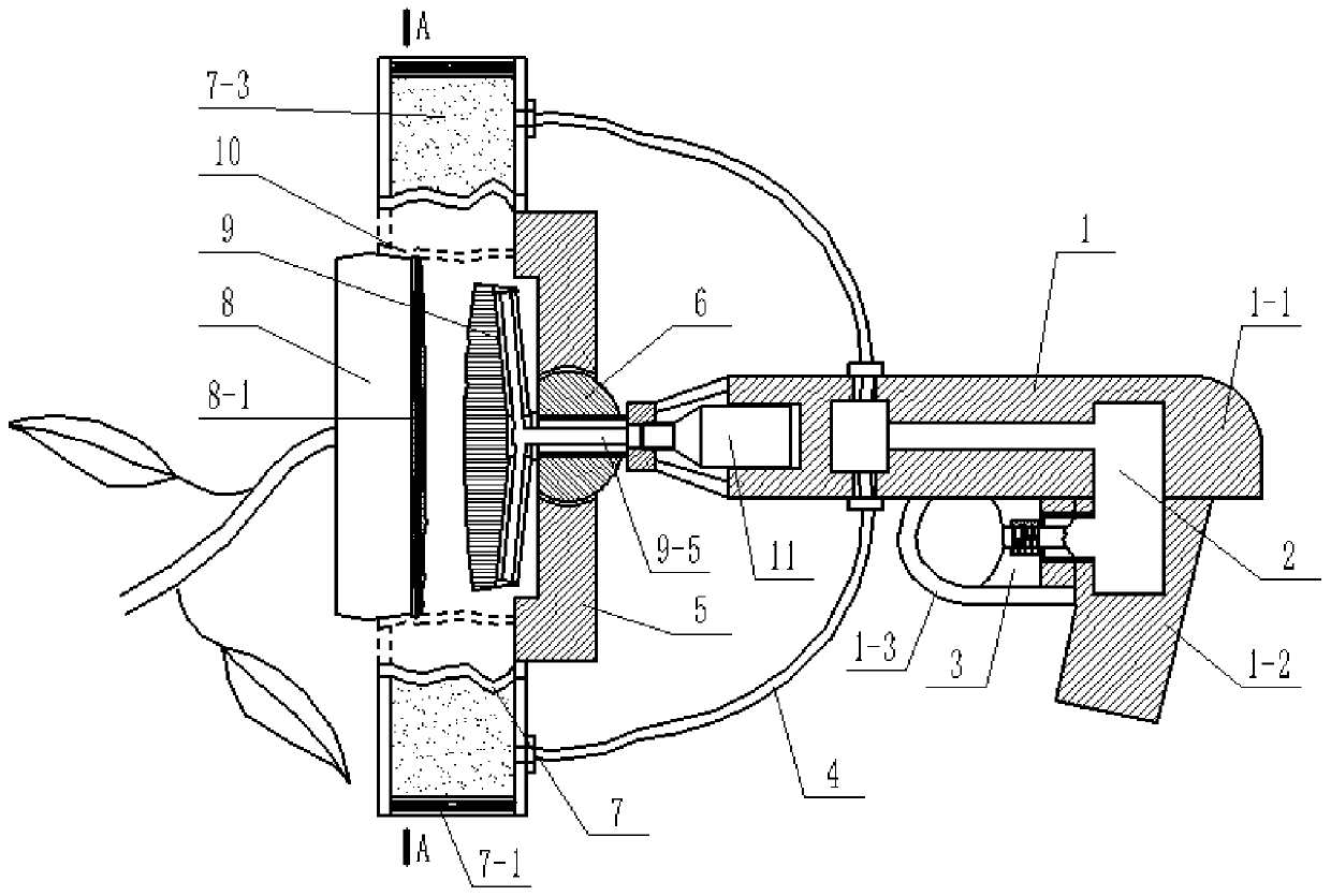 Auxiliary sunflower disc pollination device and method