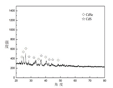 Preparation method of CdSe/CdS core-shell structured quantum dot photocatalyst and application thereof