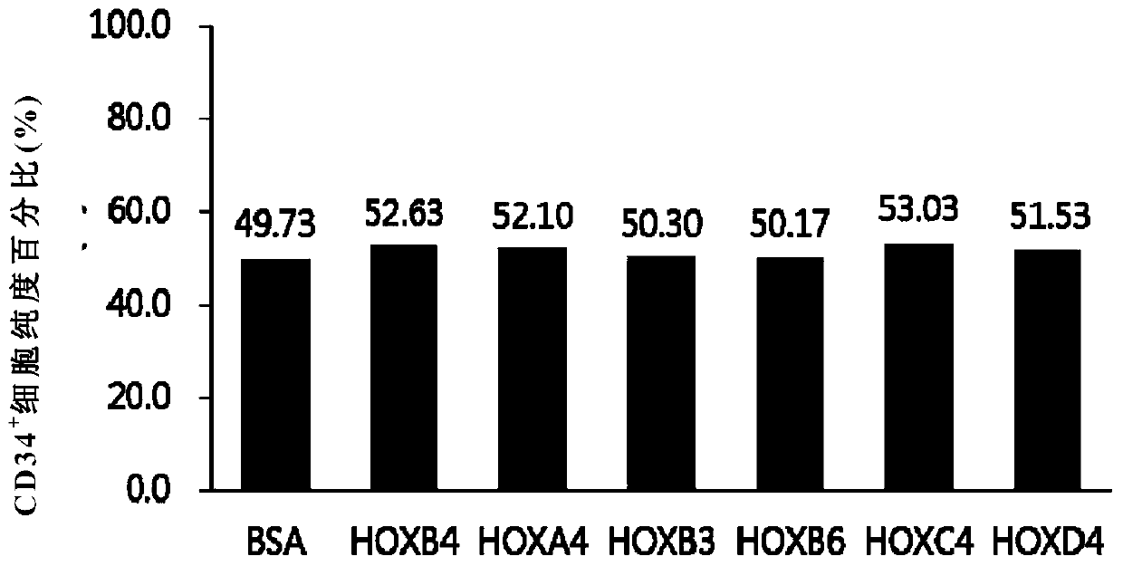 Recombinant TAT-HOX family protein with N-terminal labeled histamine acid and its preparation