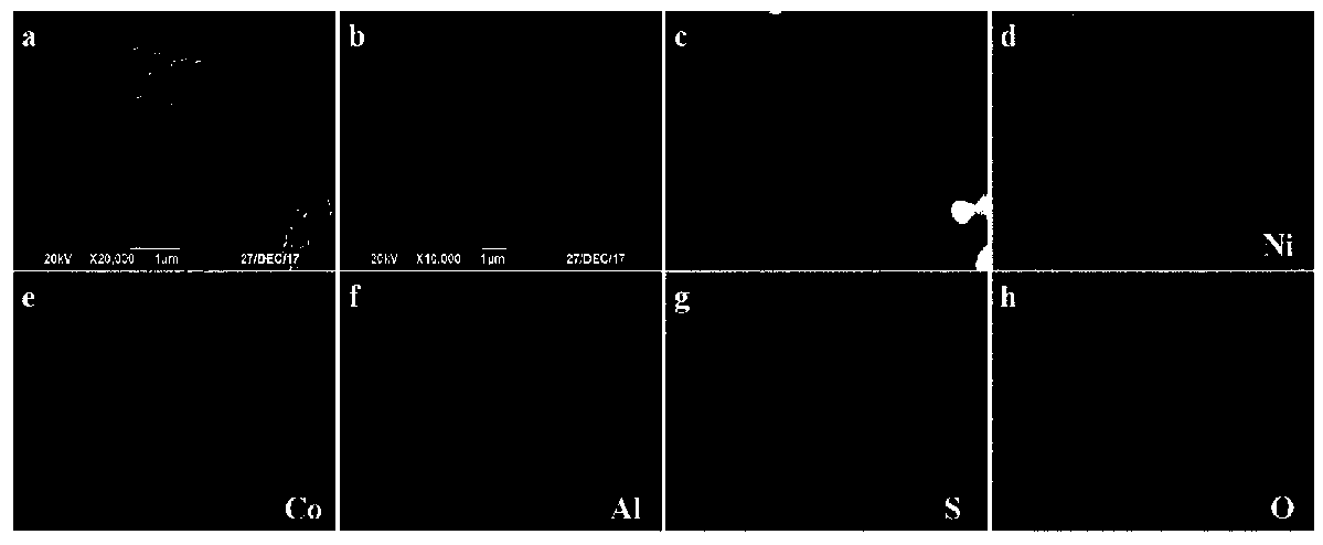 Chelated copolymer gel layer coated nickel-cobalt-aluminum ternary positive electrode material as well as preparation method and application thereof