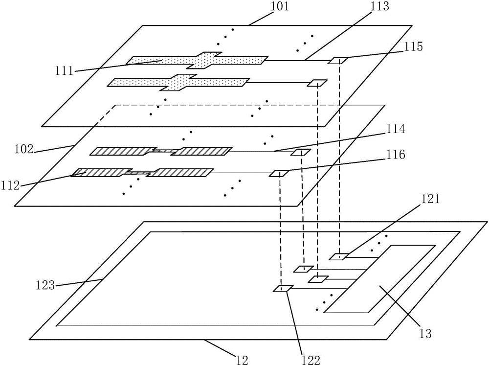 Touch screen display panel and touch screen display device
