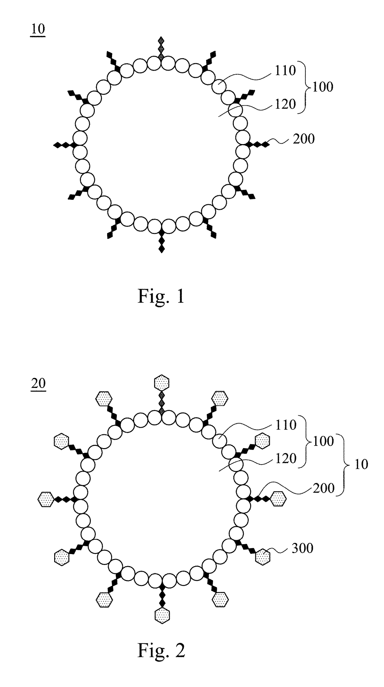 Modified microbubble