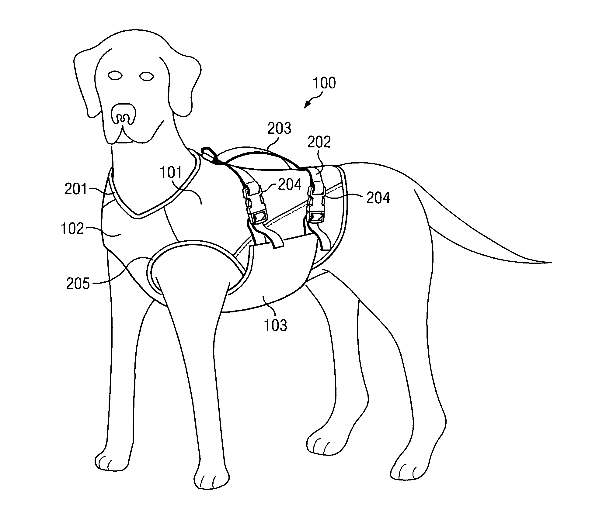 Canine flotation apparatus