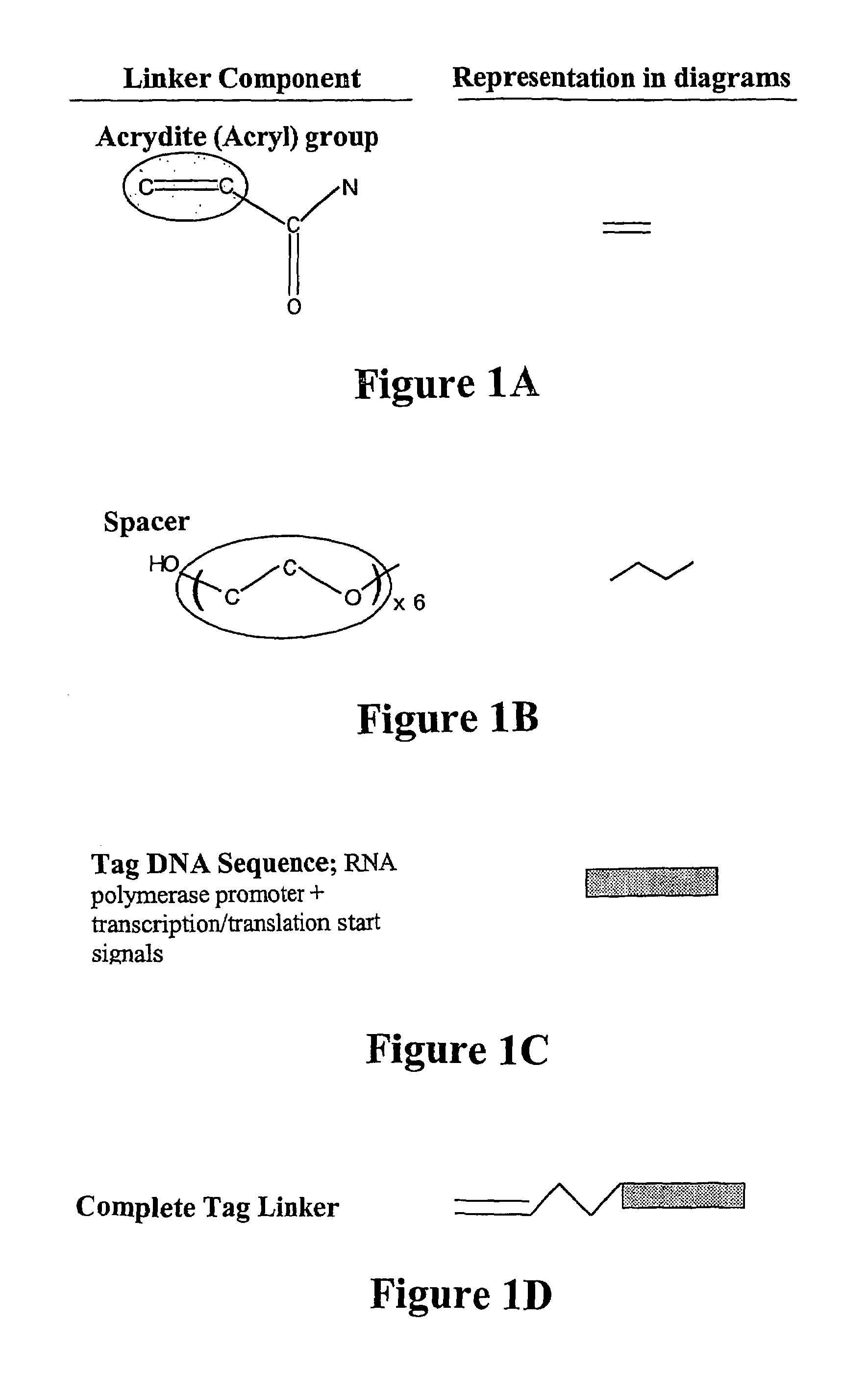 Nucleic acid anchoring system comprising covalent linkage of an oligonucleotide to a solid support