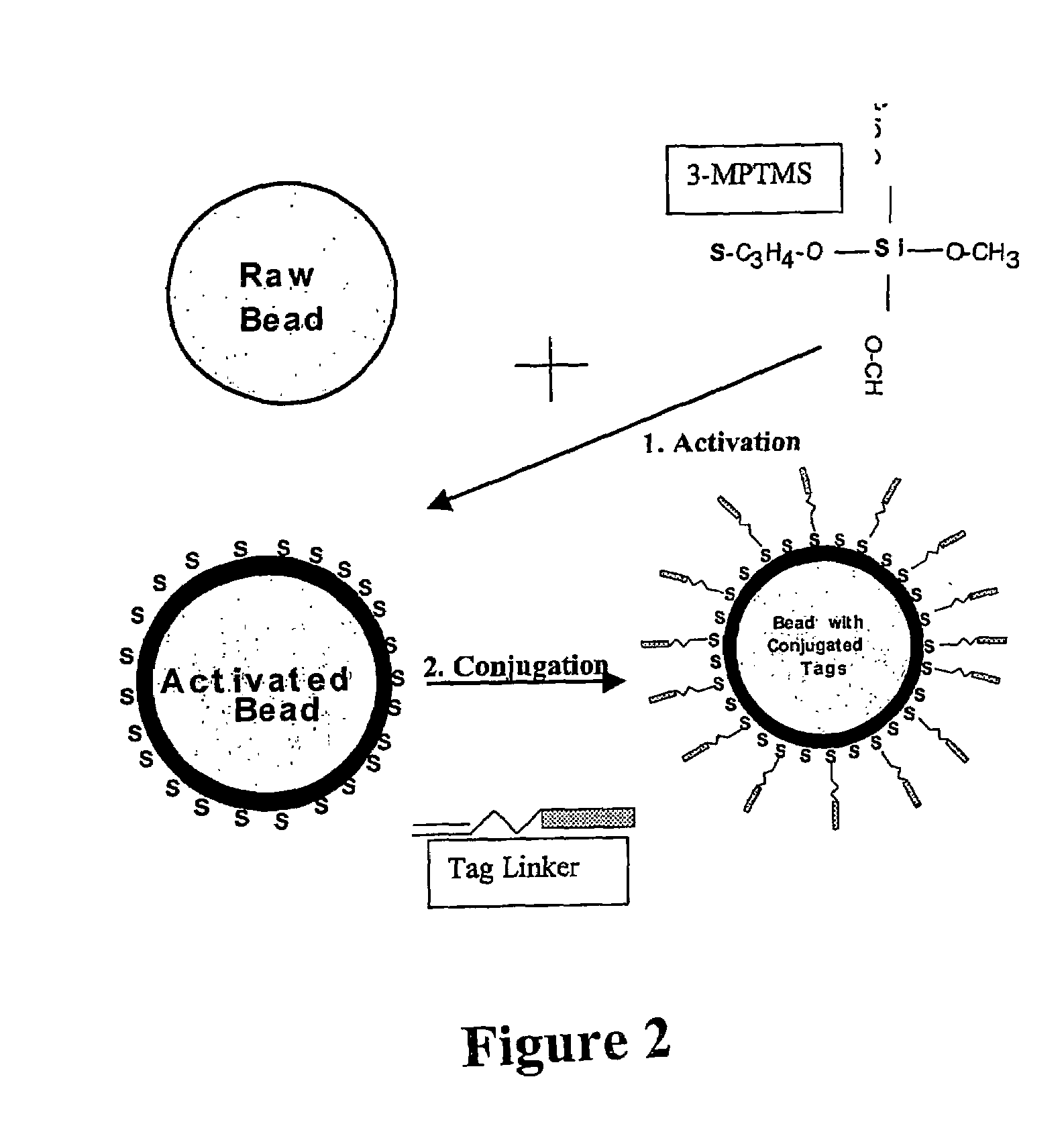 Nucleic acid anchoring system comprising covalent linkage of an oligonucleotide to a solid support