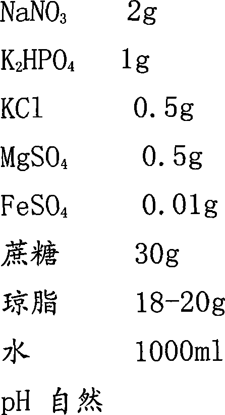 Method for screening alternaria alternata resistant germplasm material from petri dish