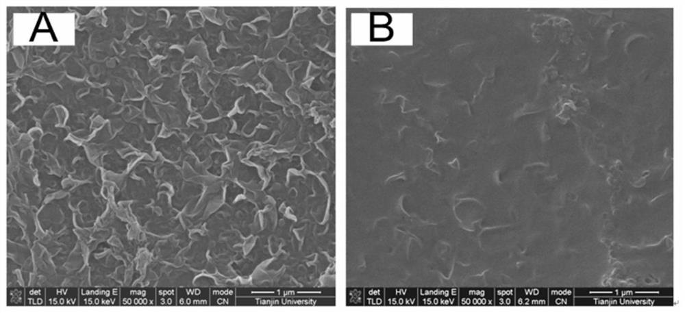 A method for preparing antibacterial and antifouling separation membranes by surface graft modification