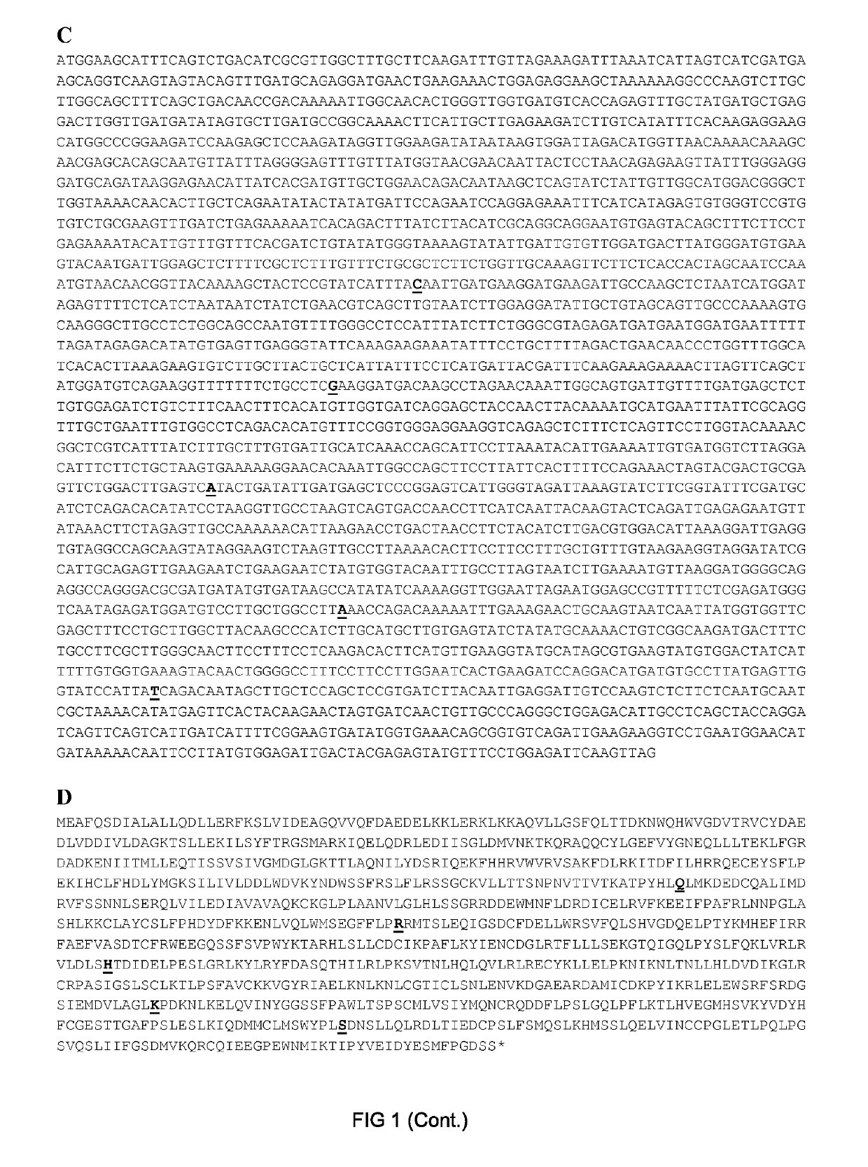 Resistance gene to rhizomania