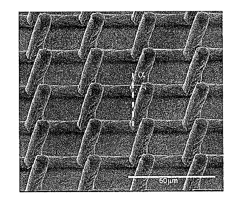 Polymer microstructure with tilted micropillar array and method of fabricating the same