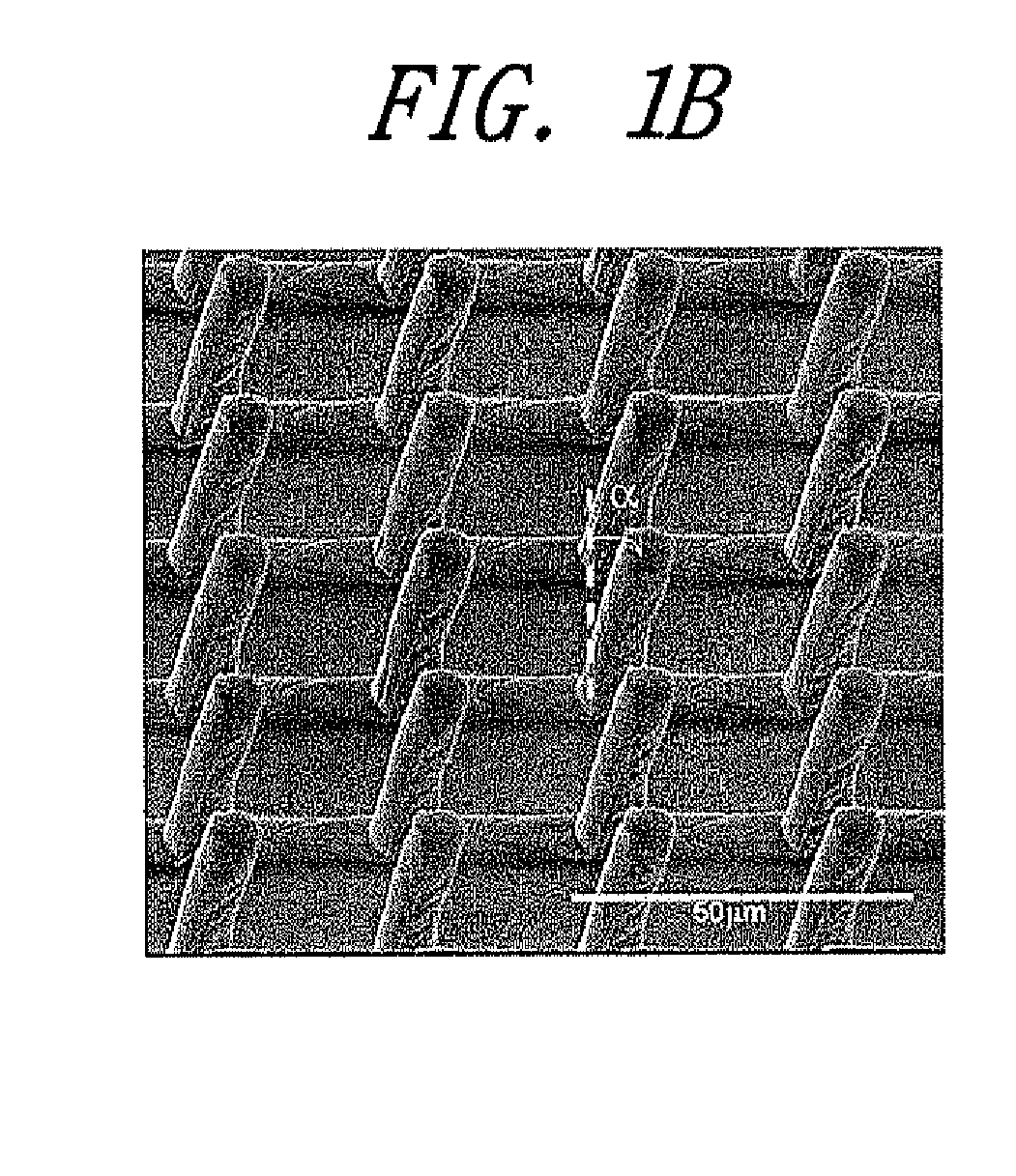 Polymer microstructure with tilted micropillar array and method of fabricating the same