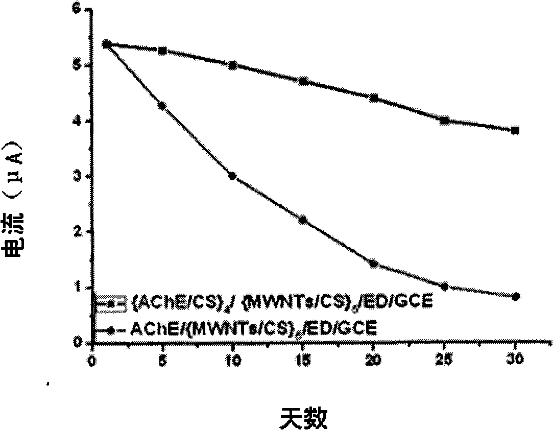 Electrochemical biosensor based on chitosan-immobilized acetylcholinesterase and application thereof