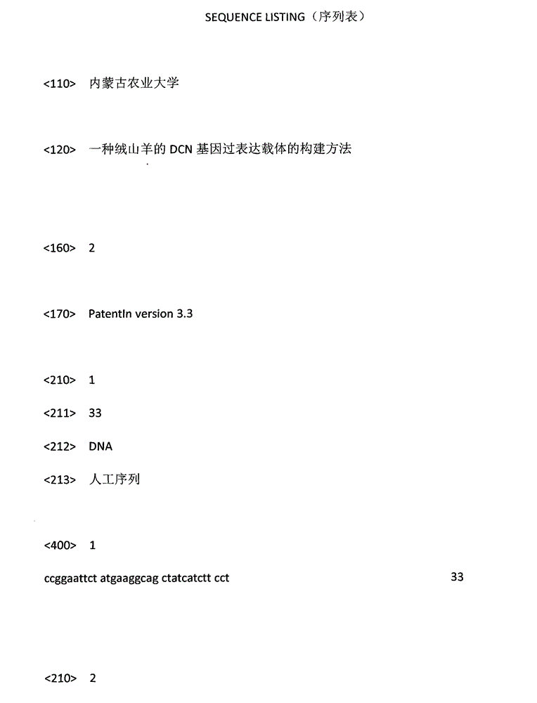 Construction method for DCN gene overexpression vector of cashmere goat