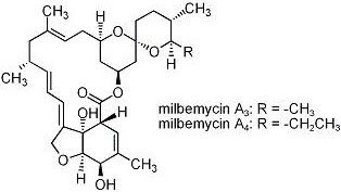 an insecticidal composition