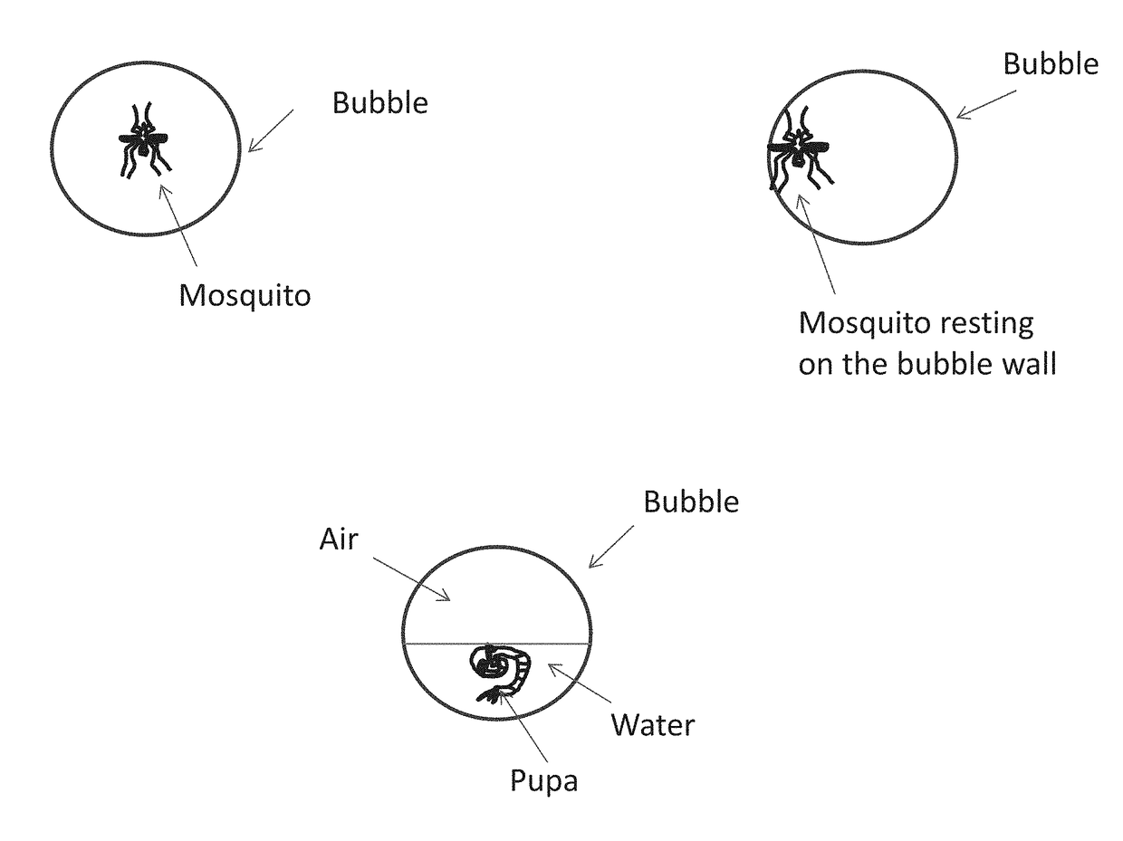 Method for encapsulation and release of fragile insects